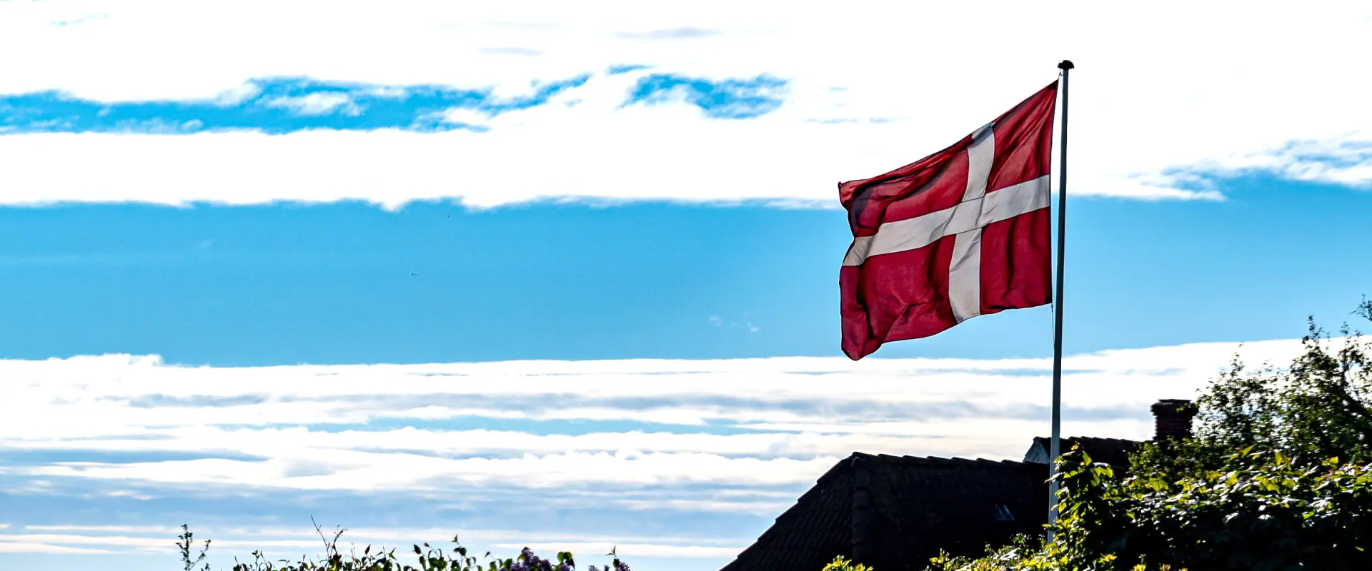 dannebrog_paa_flagstang